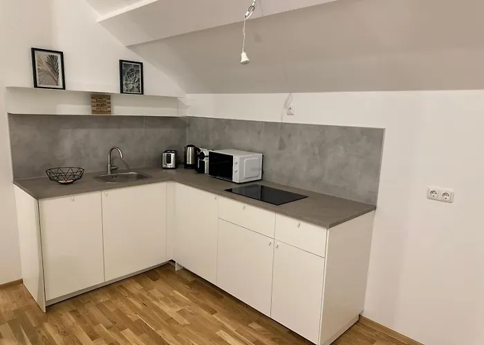 Modernes City-apartment Mit Parkplatz In * Штайр